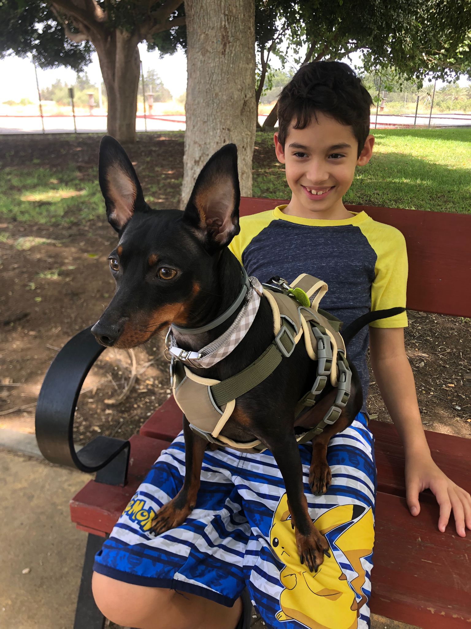 Pinscher miniatura con niño en parque — guardería canina Churriana