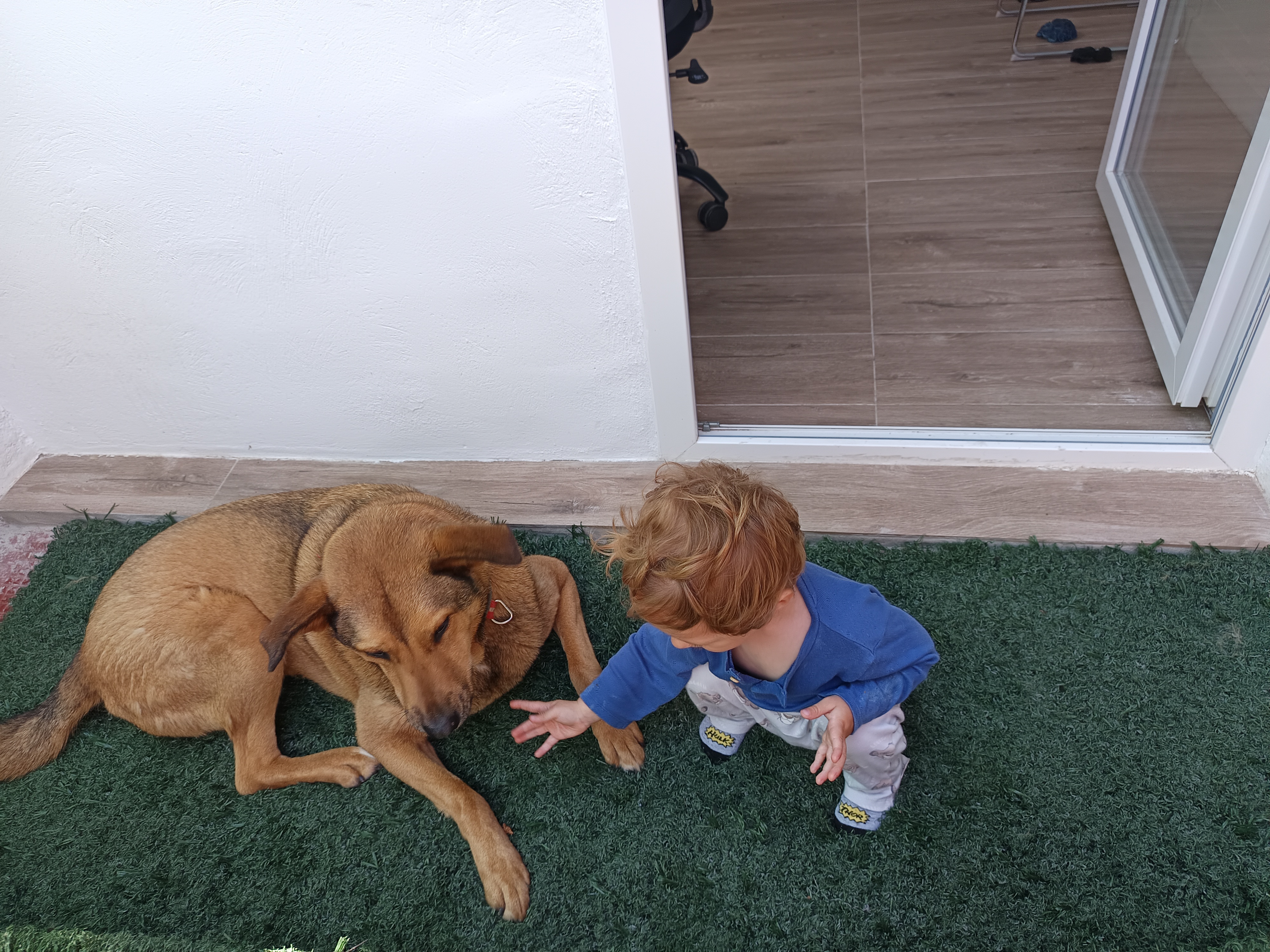 Perro y bebé juntos en terraza de Hotel Canino Churriana